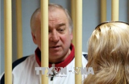 Căng thẳng vụ điệp viên Skripal: Nga chỉ trích Anh lôi kéo các đồng minh đối đầu với Moskva 